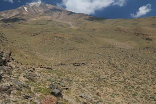 Damavand p6