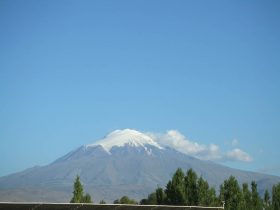 Ararat p